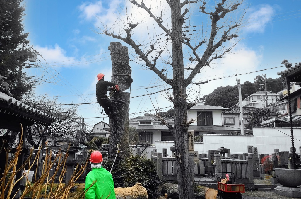 山林整備・特殊伐採